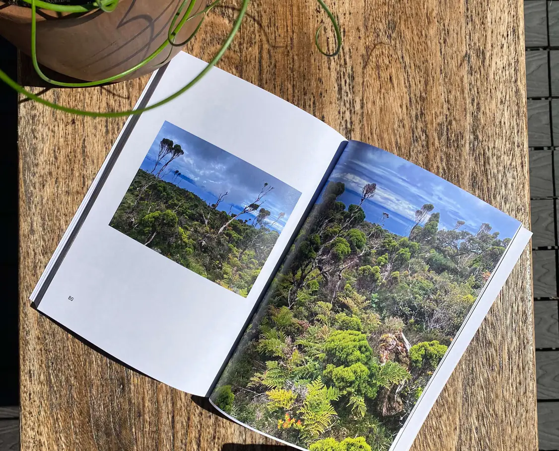 Emily Carter's Kikōbook