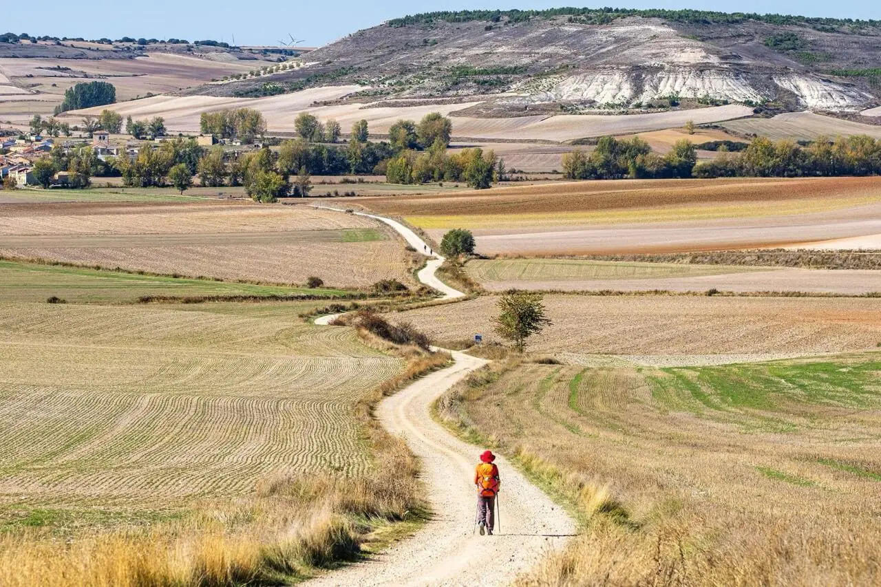 El Camino de Santiago